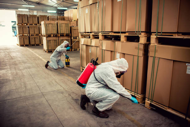 Pest Prevention Services in Pinellas Park, FL